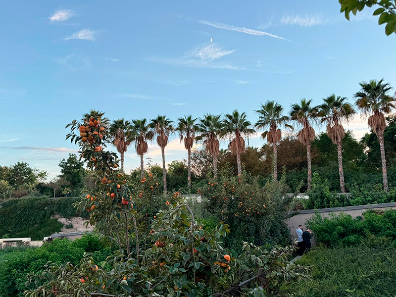 Parc Central Valencia